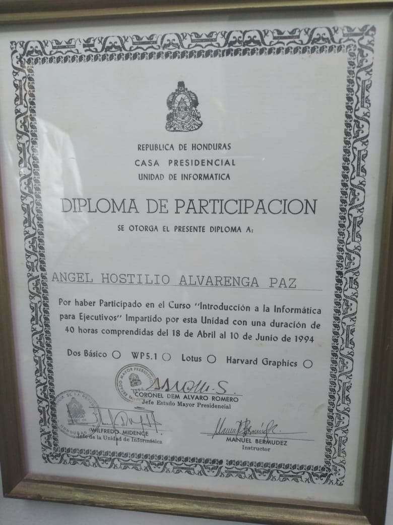 Diploma de Participación por el Curso de "Introducción a la Informática para Ejecutivos"