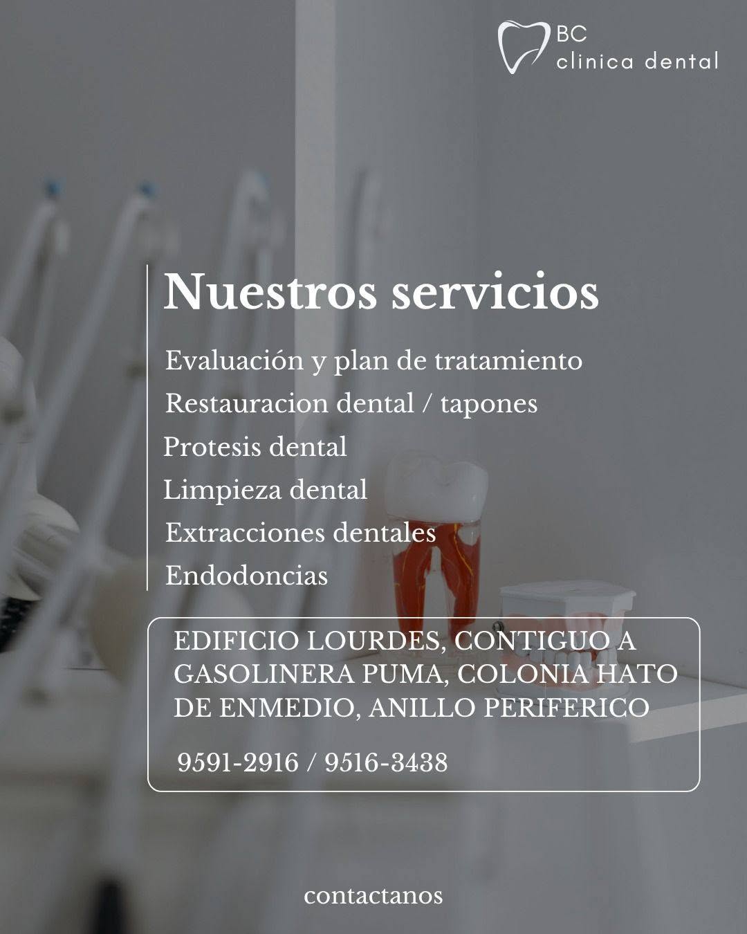 Servicios